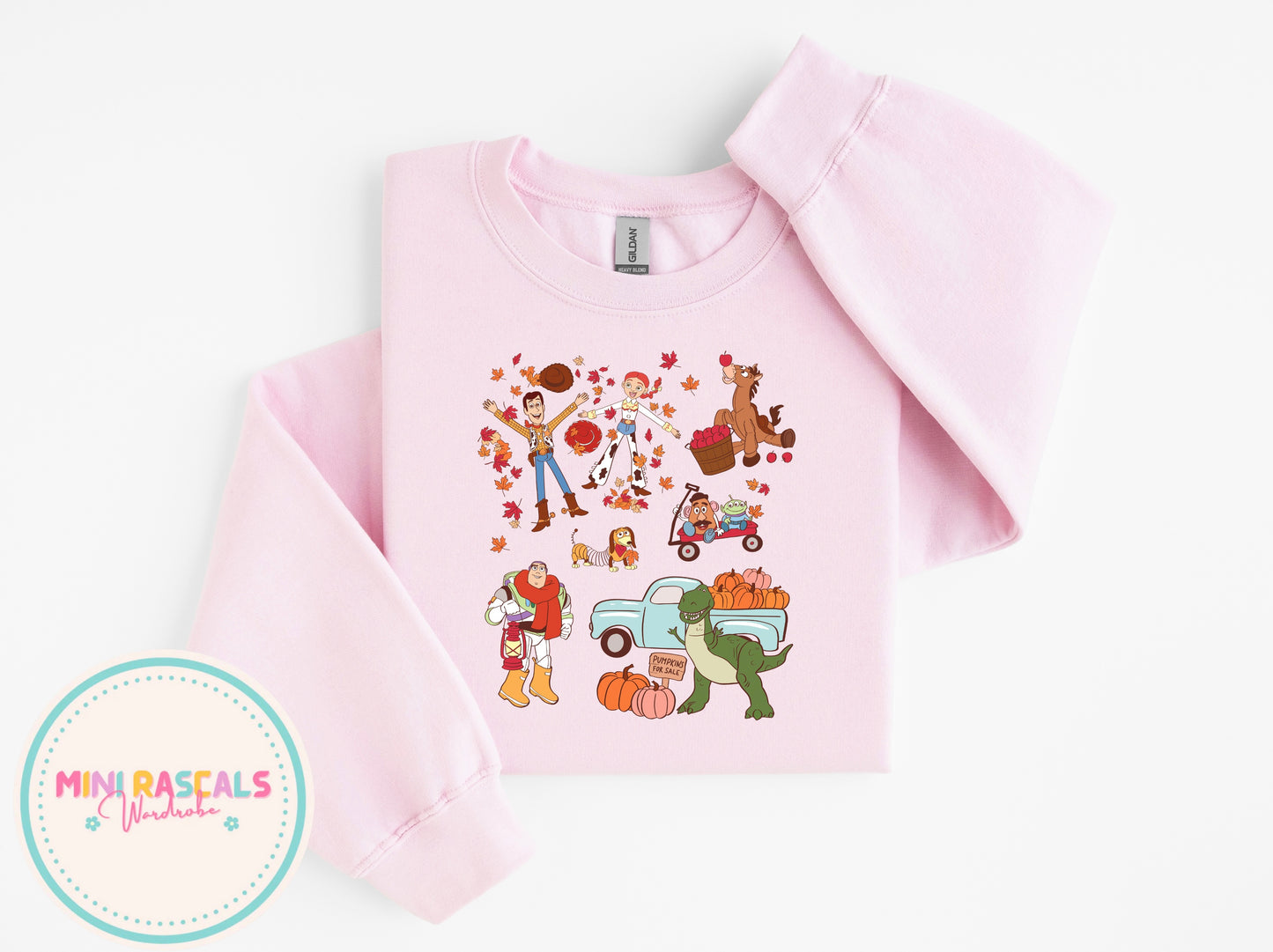 Toy Story Autumn T-Shirt & Sweatshirt