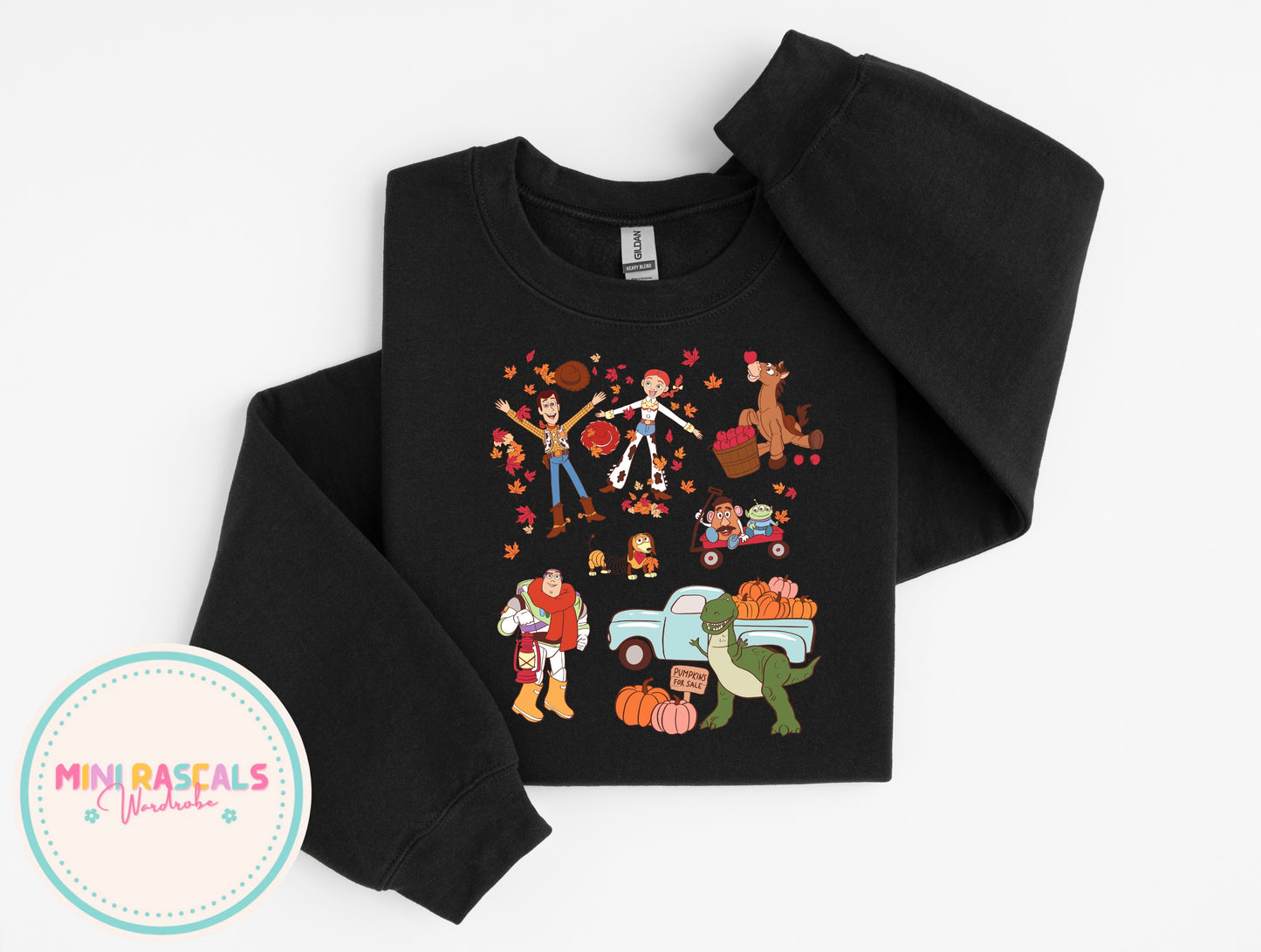 Toy Story Autumn T-Shirt & Sweatshirt