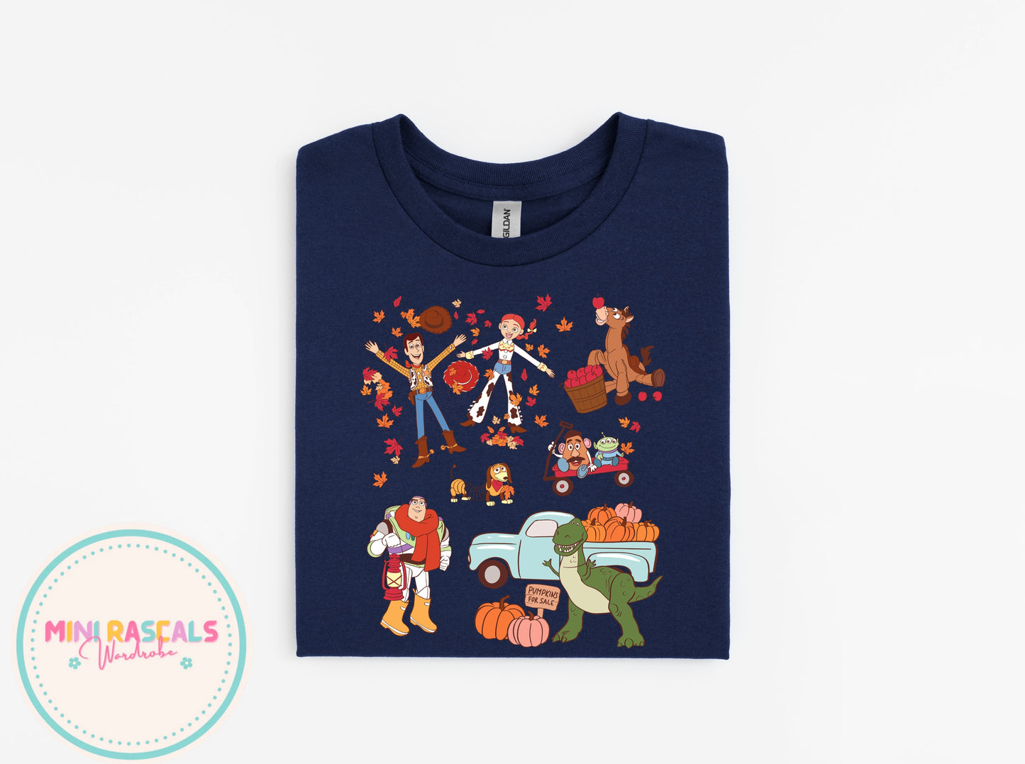 Toy Story Autumn T-Shirt & Sweatshirt