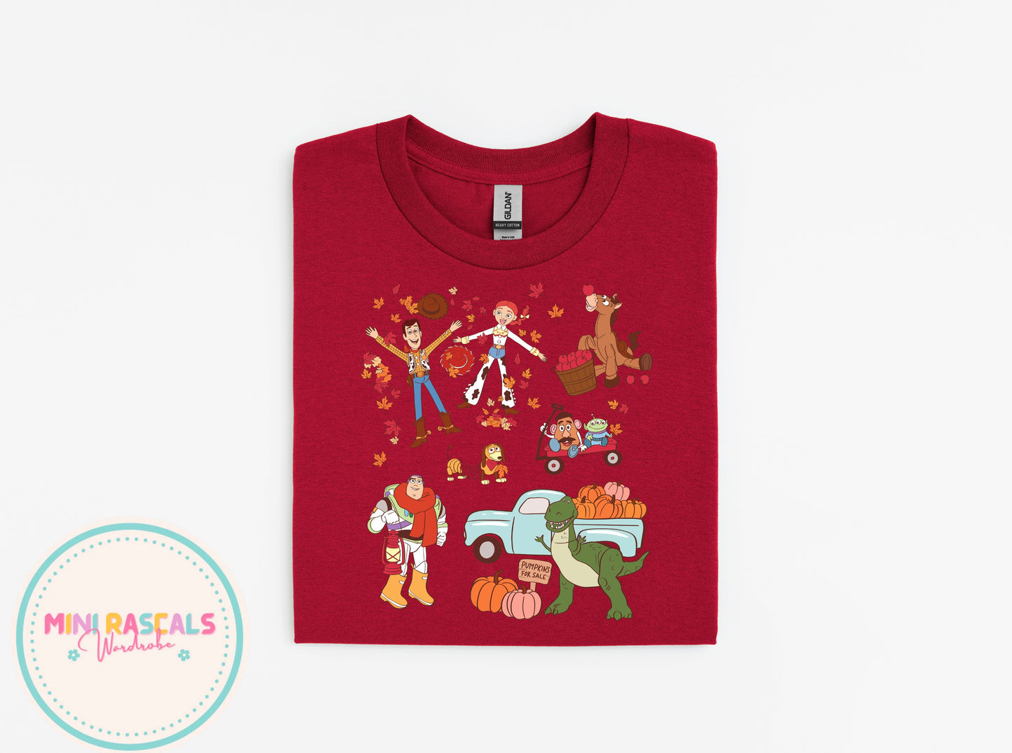 Toy Story Autumn T-Shirt & Sweatshirt