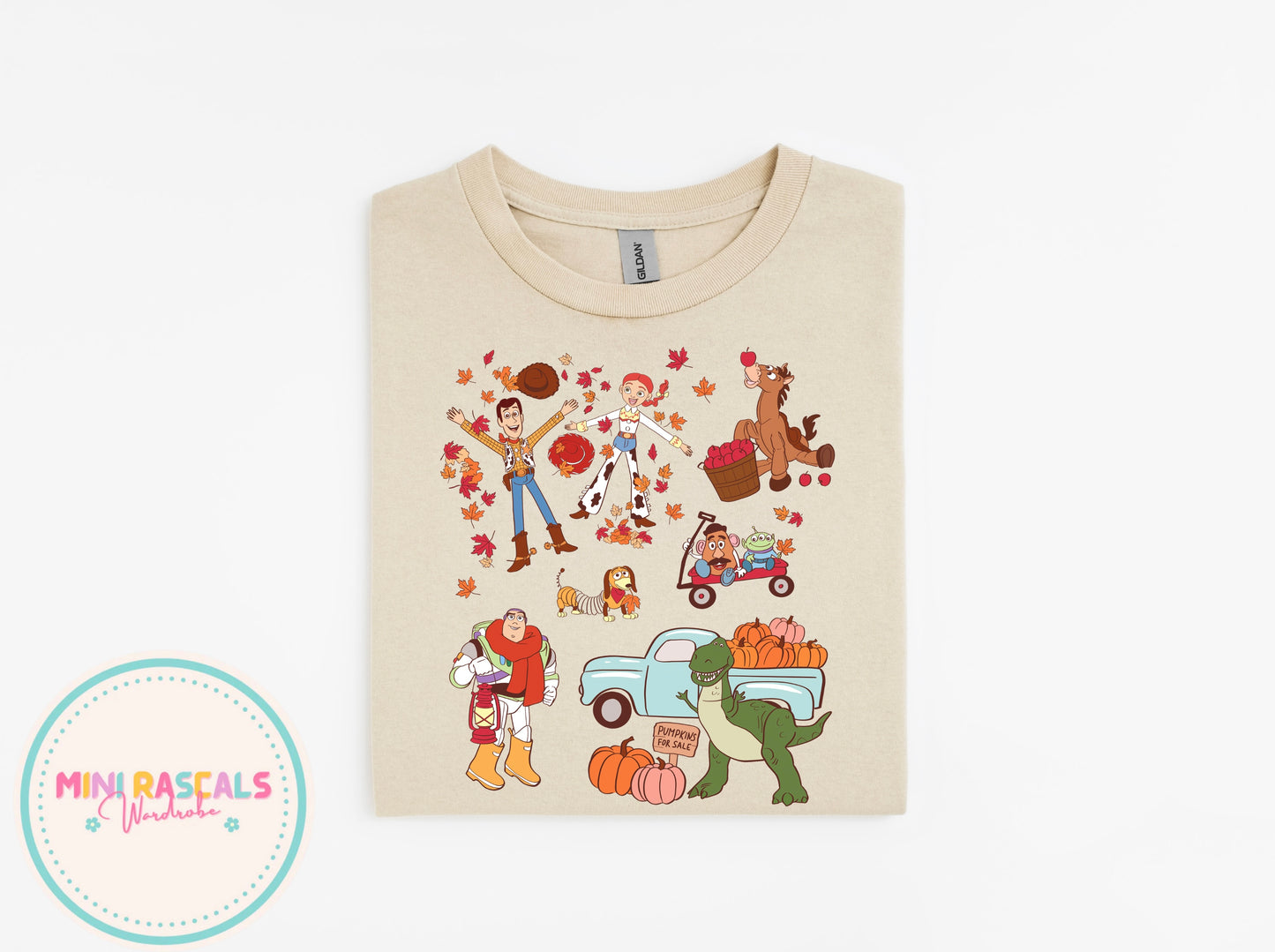 Toy Story Autumn T-Shirt & Sweatshirt