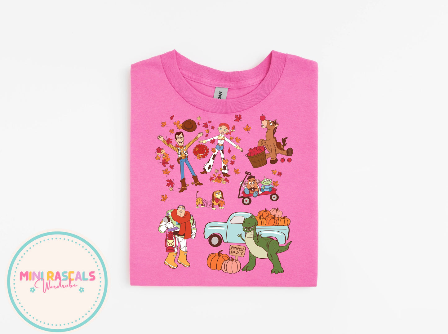 Toy Story Autumn T-Shirt & Sweatshirt